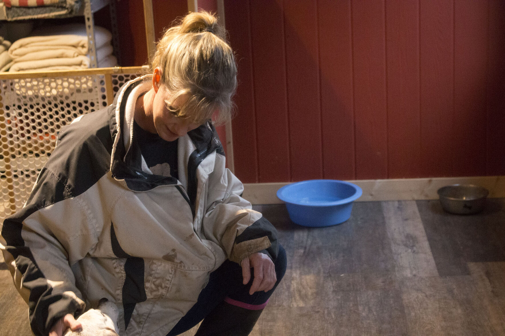 Therapy dogs lend a paw to those in need